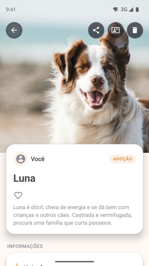 Tela de um pet para adoção